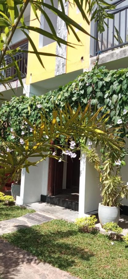 Bed and Breakfast Mandara Rest Хиккадува Экстерьер фото