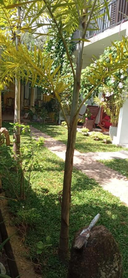 Bed and Breakfast Mandara Rest Хиккадува Экстерьер фото