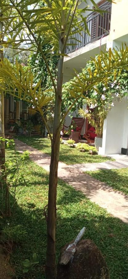 Bed and Breakfast Mandara Rest Хиккадува Экстерьер фото