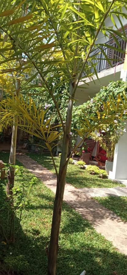 Bed and Breakfast Mandara Rest Хиккадува Экстерьер фото